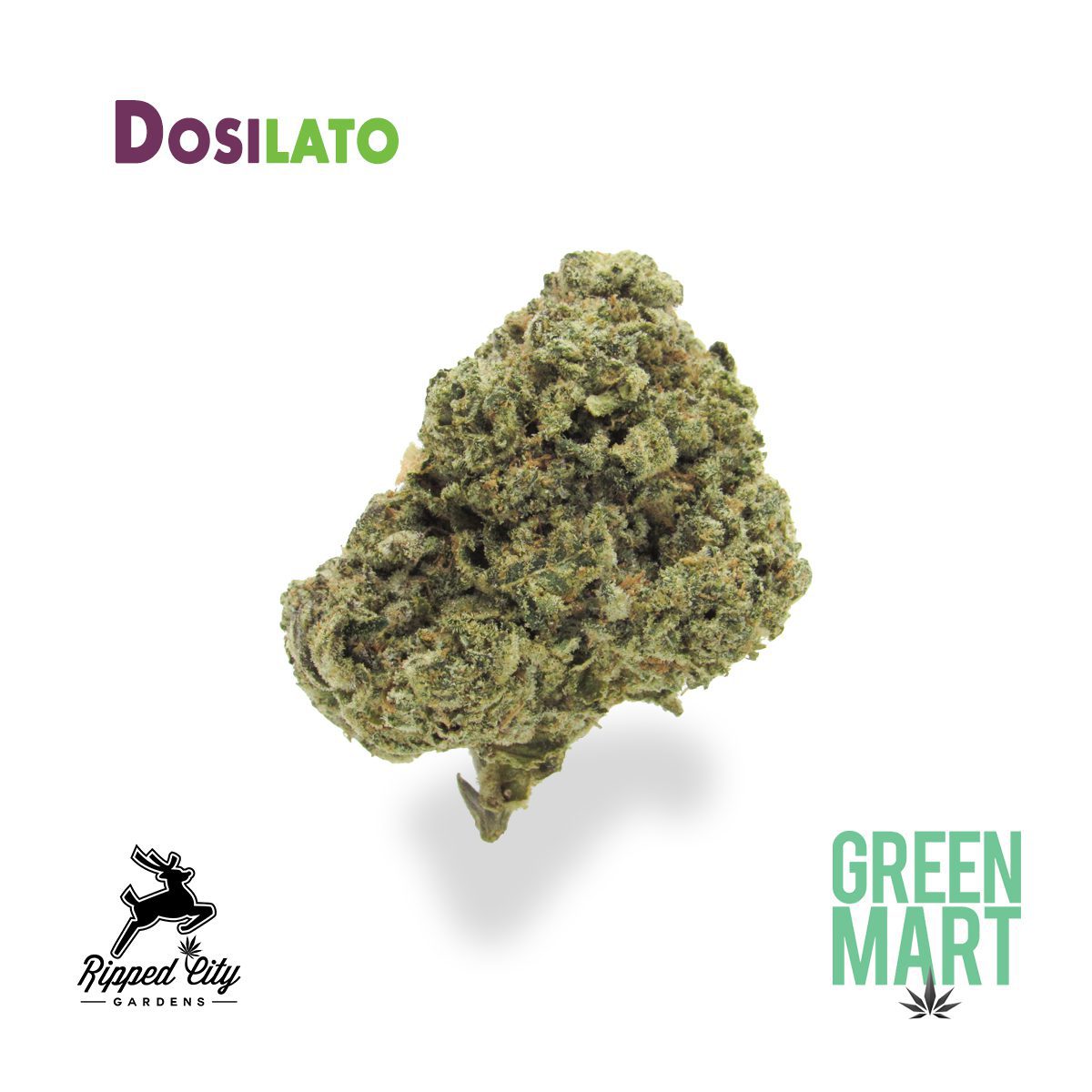 GM Dispensary | Beaverton – Oregon’s Best Dispensary