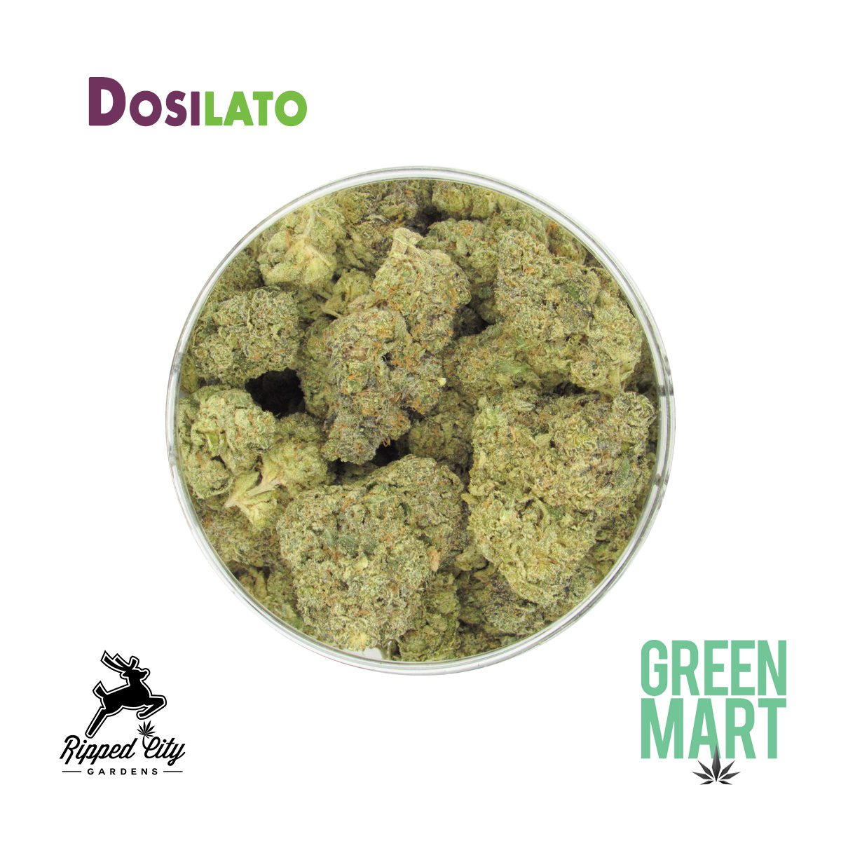 GM Dispensary | Beaverton – Oregon’s Best Dispensary