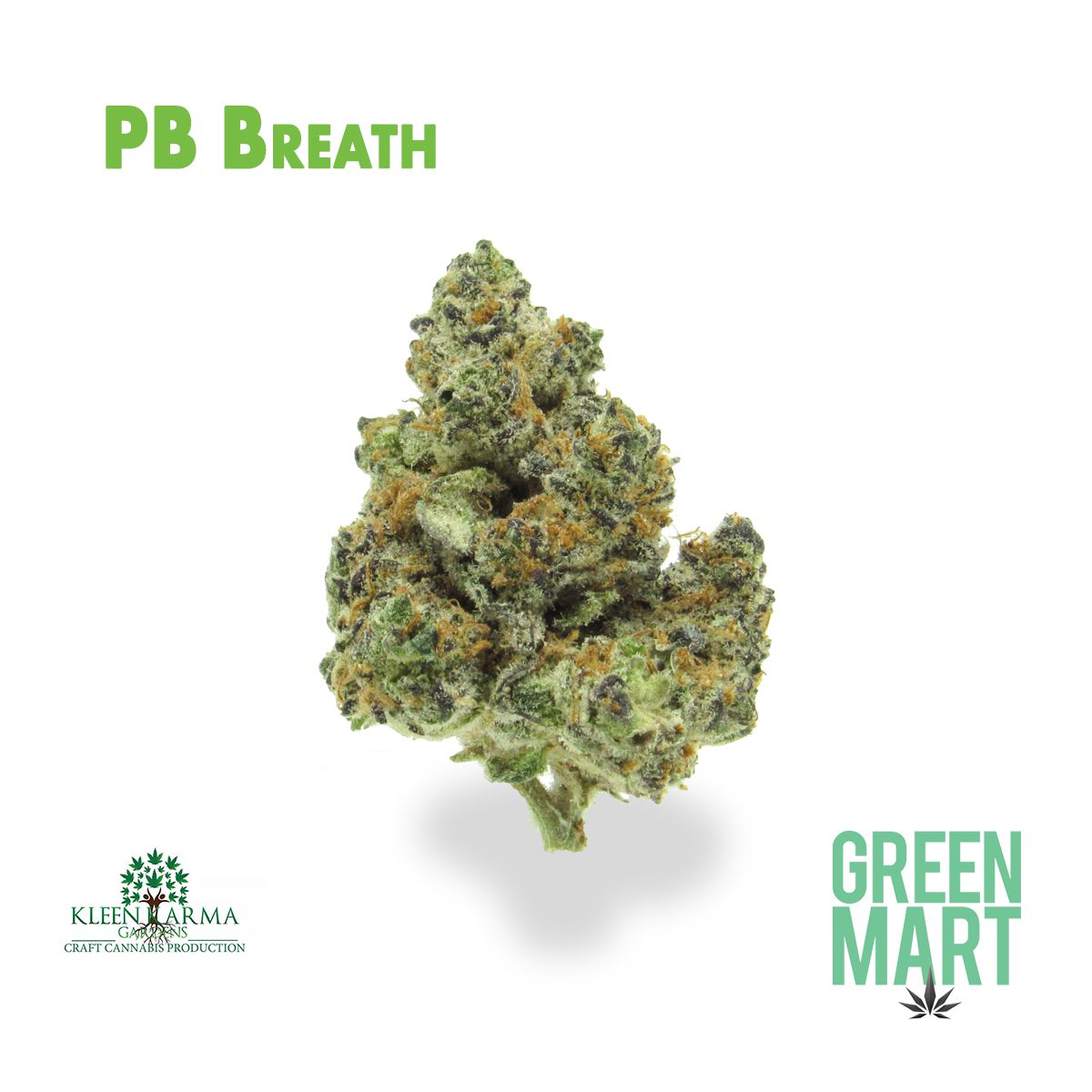 GM Dispensary | Beaverton – Oregon’s Best Dispensary