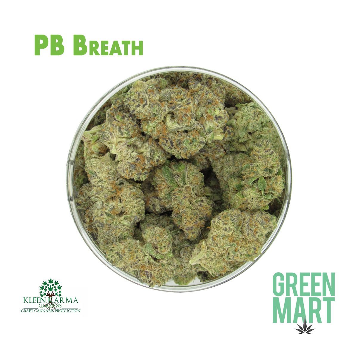 GM Dispensary | Beaverton – Oregon’s Best Dispensary