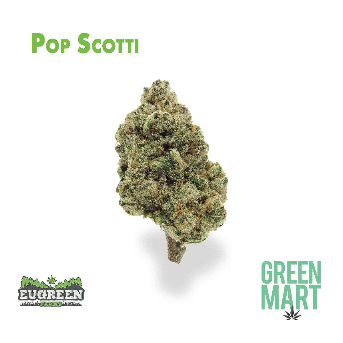 GM Dispensary | Beaverton – Oregon’s Best Dispensary