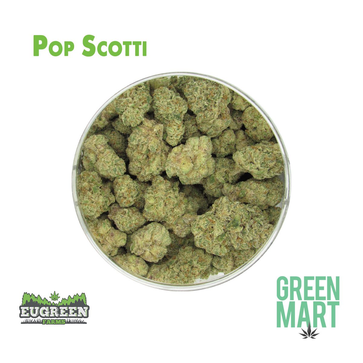 GM Dispensary | Beaverton – Oregon’s Best Dispensary