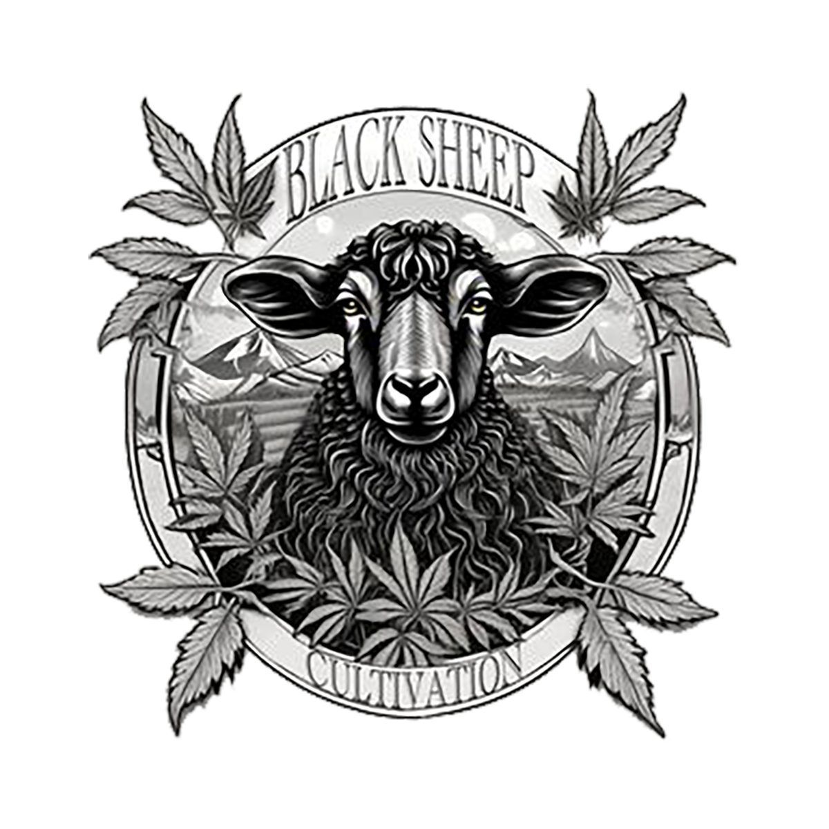 Watermelon Hurricane by Black Sheep