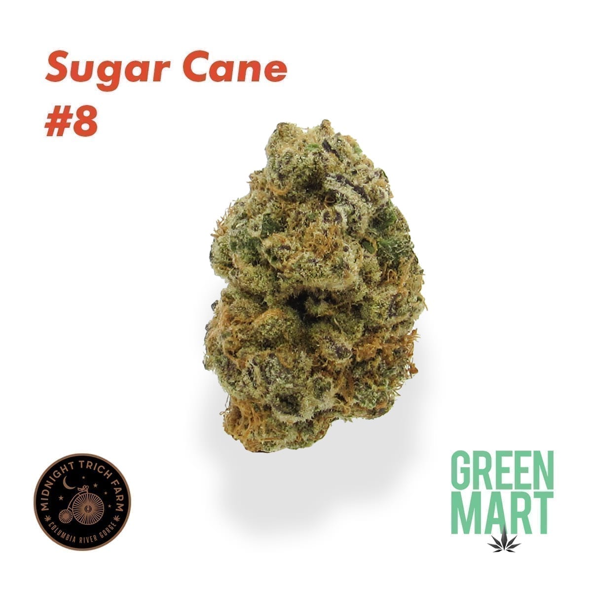 Sugar Cane #8