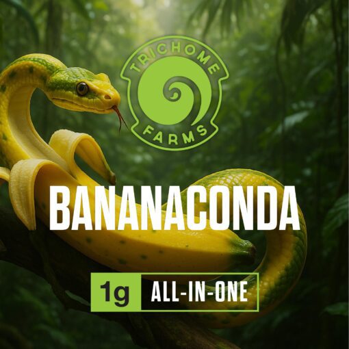 Trichome Farms LR AIO Vape - Bananaconda