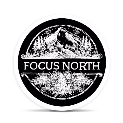 Honeymoon Crashers by Focus North