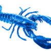 Blue Lobster Lineup - $15 Trapline 1/8th Pre-Pack by Hometown Cultivation