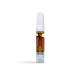 Focus North - Fear and Loathing .5g Hash Rosin Cart