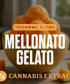 Trichome Farms 2g Dabs - Mellonato Gelato
