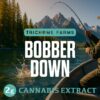 Trichome Farms 2g Dabs - Bobber Down