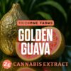 Trichome Farms 2g Dabs - Golden Guava