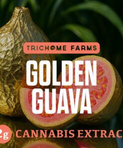 Trichome Farms 2g Dabs - Golden Guava