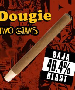 Dougie - 2g Infused Blunts - Baja Blast