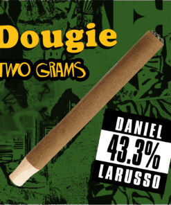Dougie - 2g Infused Blunts - Daniel Larusso