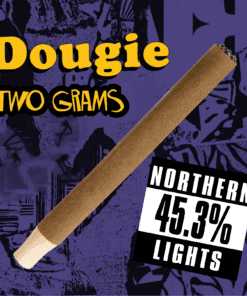 Dougie - 2g Infused Blunts - Northern Lights