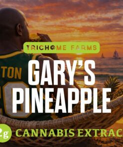 Trichome Farms 2g Dabs - Gary's Pineapple