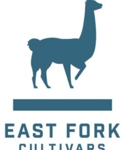 Elvis $80 Ounce by East For Cultivars