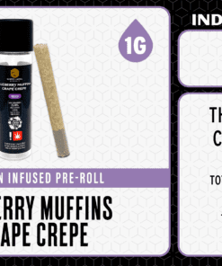 WLE Infused 1g Pre-Roll - Blueberry Muffins x Grape Crepe