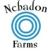 Critical Mass CBD by Nebadon Farms