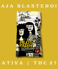 Pilot Farms 1g Pre-Roll 5 Pack - Baja Blasteroid