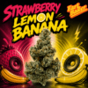 Strawberry Lemon Banana by Earl Baker