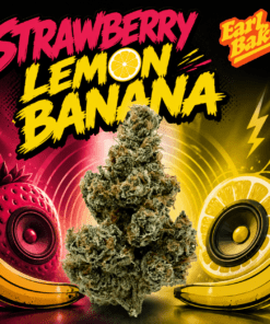 Strawberry Lemon Banana by Earl Baker