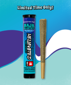 Hellavated 0.75g Infused Pre-Roll - Baja Blastoff