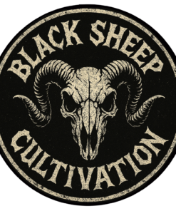 Neon Nerdz $20 1/8th by Black Sheep Cultivation