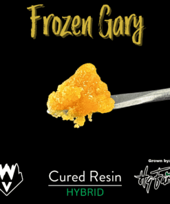 WVA - Cured Badder 1g - Frozen Gary