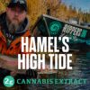 Trichome Farms 2g Dabs - Hamel's High Tide