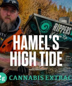 Trichome Farms 2g Dabs - Hamel's High Tide