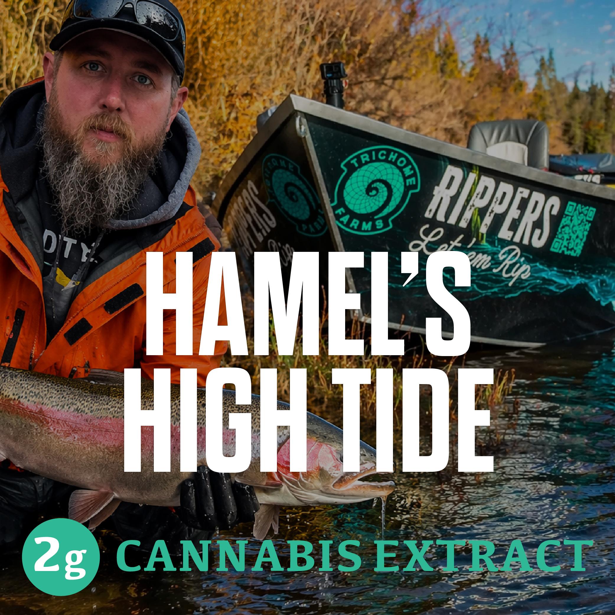 Trichome Farms: Dabs – Hamel’s High Tide