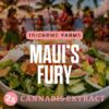 Trichome Farms 2g Dabs - Maui's Fury