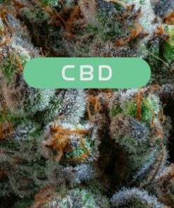 CBD