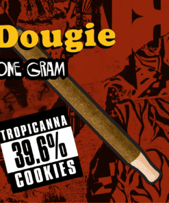 Dougie - 1g Infused Blunts - Tropicanna Cookies