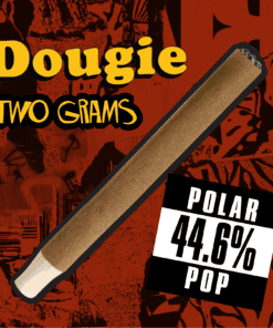 Dougie - 2g Infused Blunts - Polar Pop